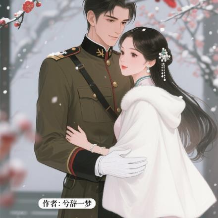 雪落庭时：少帅的冷颜娇妻