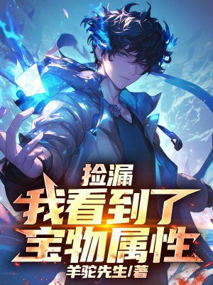 捡漏：我看到了宝物属性