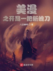 崩坏世界：无限的风之律者