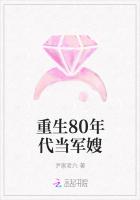 重生80年代当军嫂